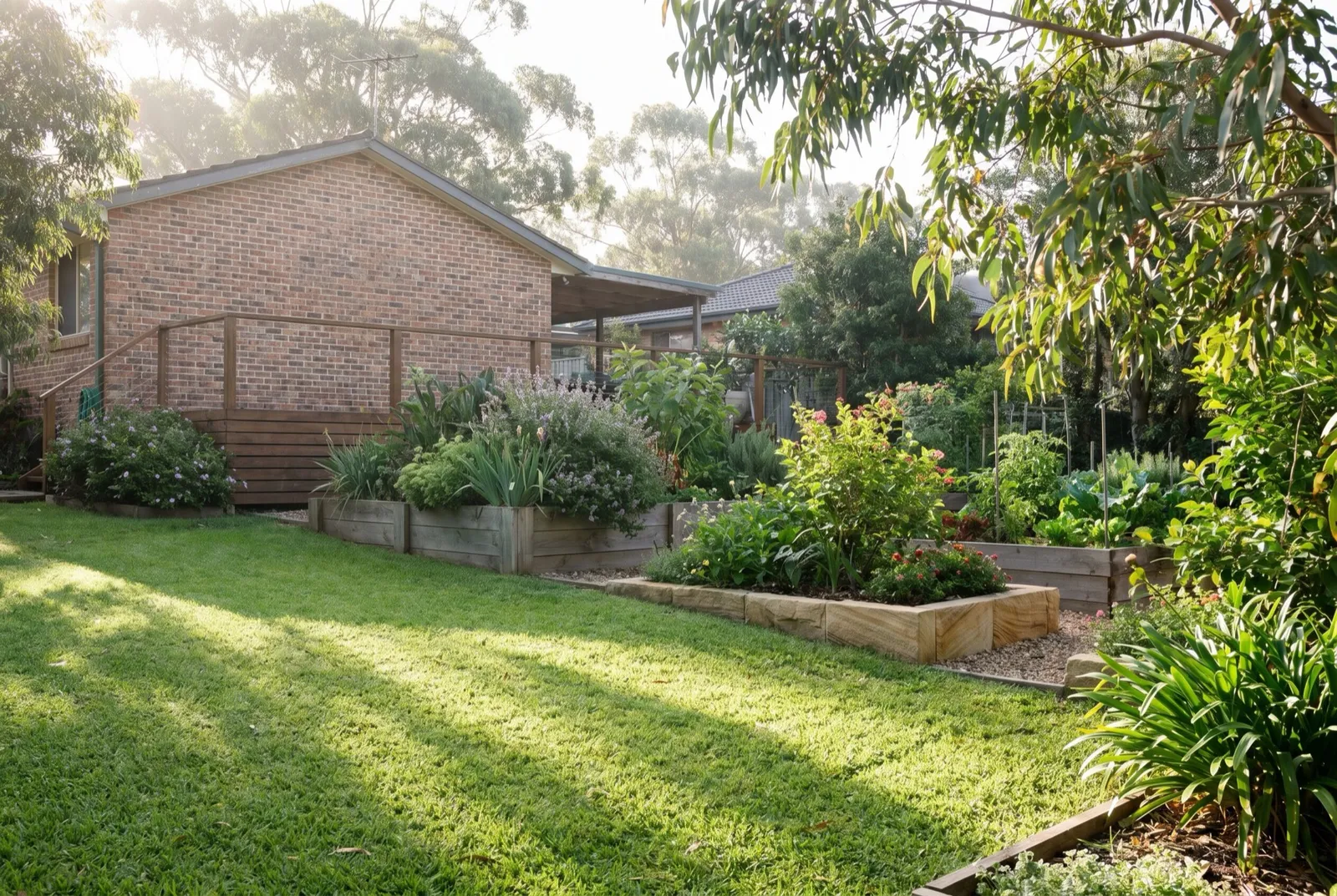 A healthy leafy backyard garden behind a Newcastle home